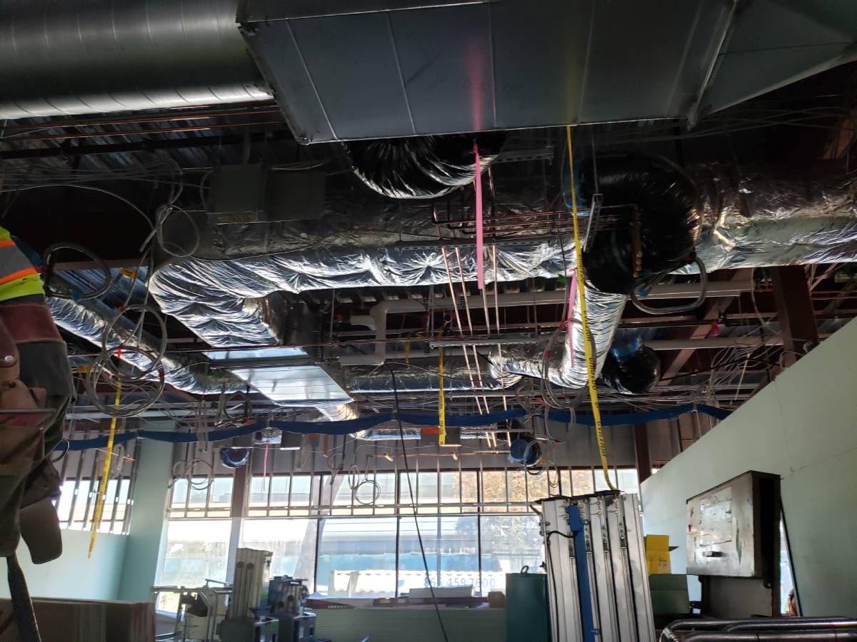 A room with many wires hanging from the ceiling.