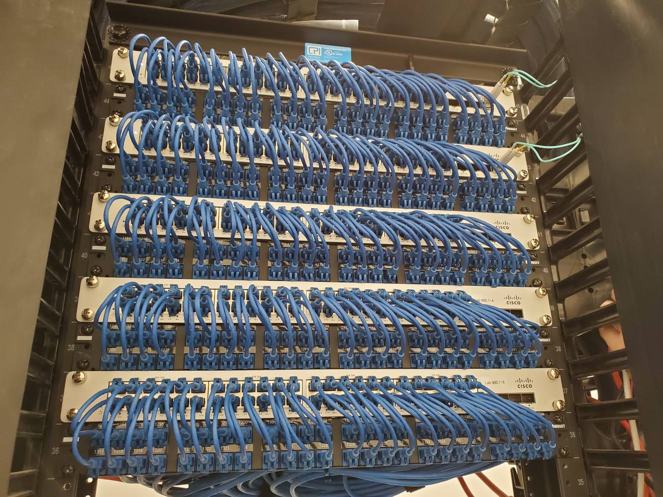 A bunch of blue wires are hanging on the wall